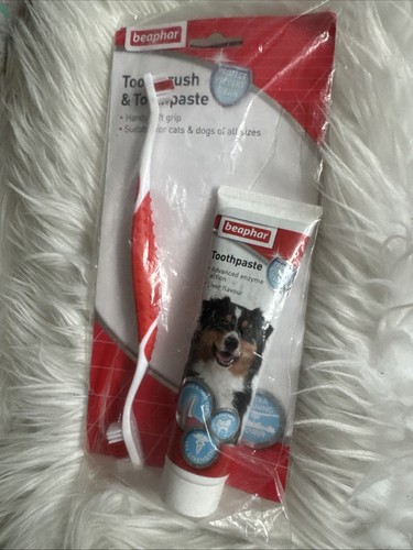 Toothbrush and toothpaste kit - toothbrush,