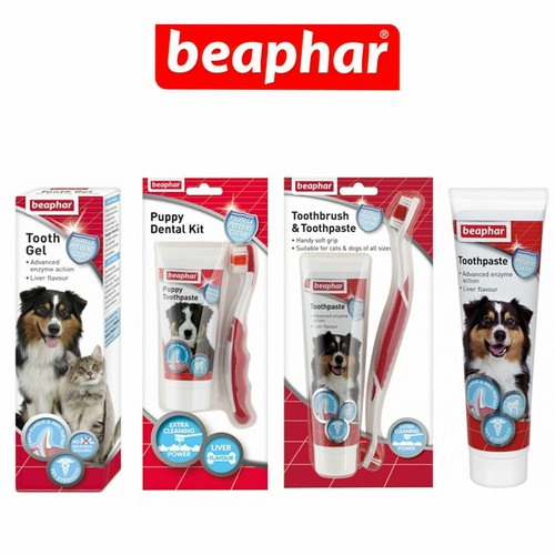 Beaphar toothpaste toothbrush - beaphar,