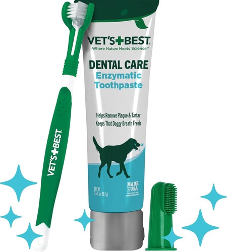 Vet best dog - dog, &