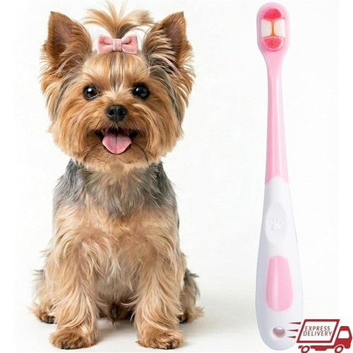 Pet toothbrush kit small - pet,