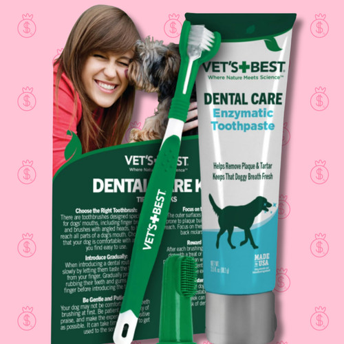 Dog toothbrush and - toothbrush, enzymatic