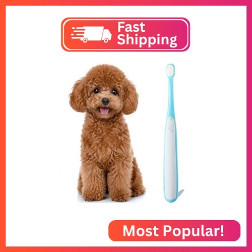 Moonymars small dog - moonymars,