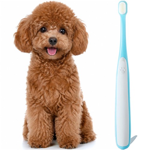 Moonymars small dog - moonymars,