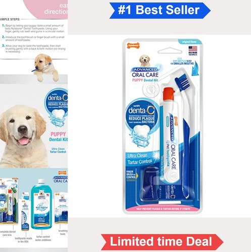 Puppy dental care - puppy,