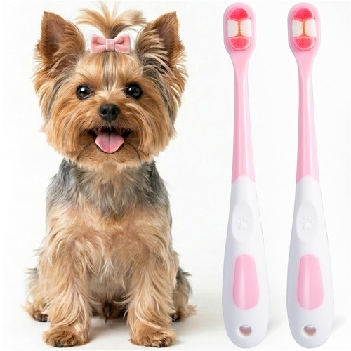 Small dog toothbrush puppy - dog, toothbrush,