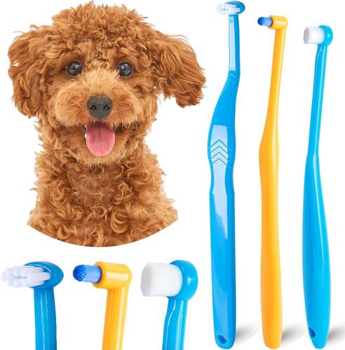 Small dog toothbrush - small, toothbrush,
