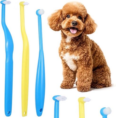 3pcs small dog toothbrush - 3pcs, kit
