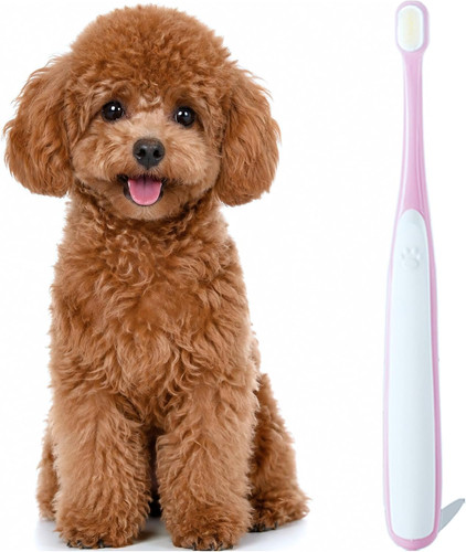 Small dog toothbrush cat - small, &