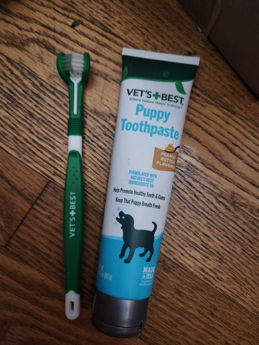 Vet best dog - best, toothbrush