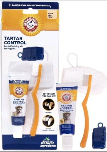 Dental training kit - kit, for