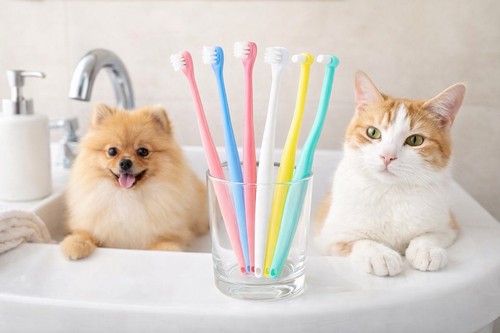 8pcs pet toothbrush set cats - 8pcs,