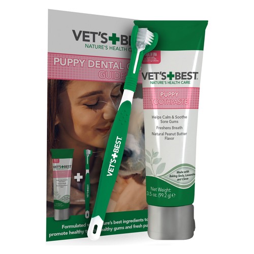 Vet best dog - vet's,