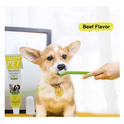 3in1 pet dental - dental, beef