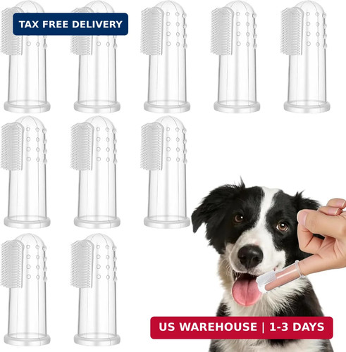 Pieces dog finger tooth - 10,