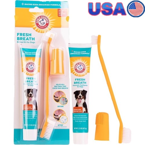 Enzymatic dog toothpaste - dog,