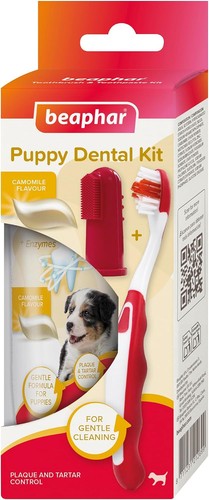 Beaphar puppy dental care kit - dental,