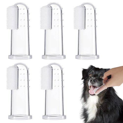 Pieces dog tooth brushing - dog,