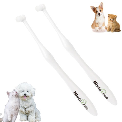Small breed dog - breed,