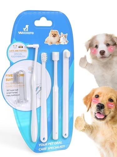 Small dog puppy - small, toothbrush