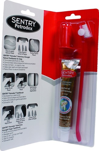 Petrodex dental care kit - petrodex,