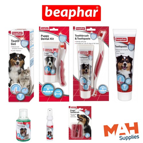 Dog toothpaste cat - dog,