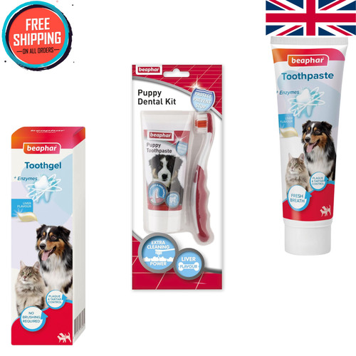 Toothbrush and toothpaste - toothbrush, kit