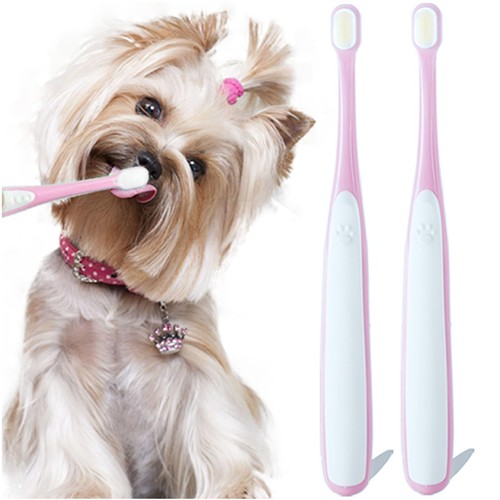 Small dog toothbrush - dog, toothbrush,