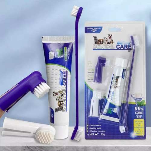 Toothbrush and toothpaste kit - toothbrush,