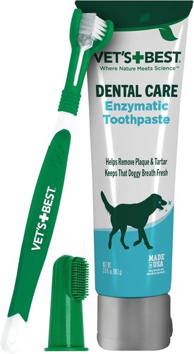 Dog toothpaste toothbrush - toothpaste,