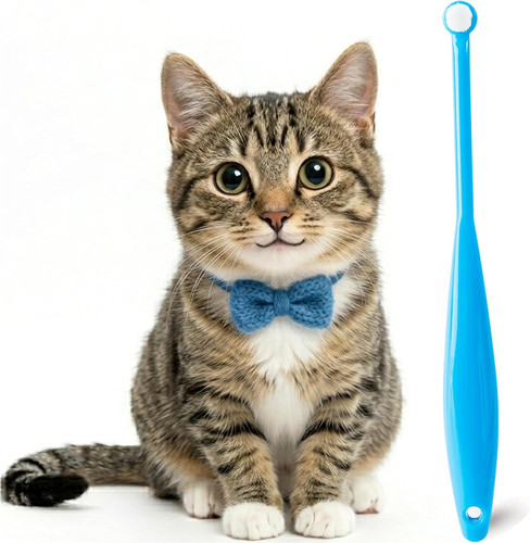 Cat toothbrush small dog puppy - cat,
