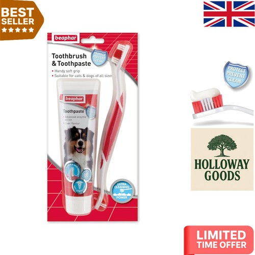 Toothbrush and toothpaste kit - and,