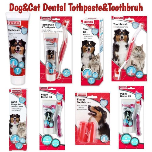Toothbrush and toothpaste - toothbrush, kit