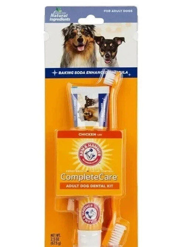 Oral dental care dog - oral,