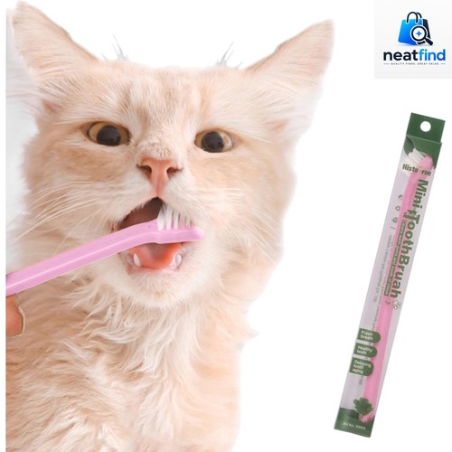 Cat dog toothbrush puppy - cat, tooth