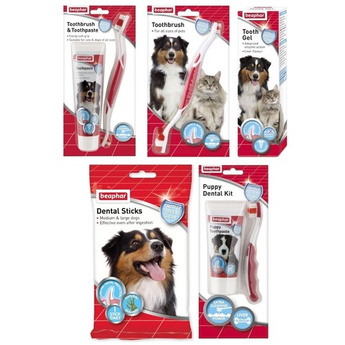 Beaphar toothbrush - toothbrush, &